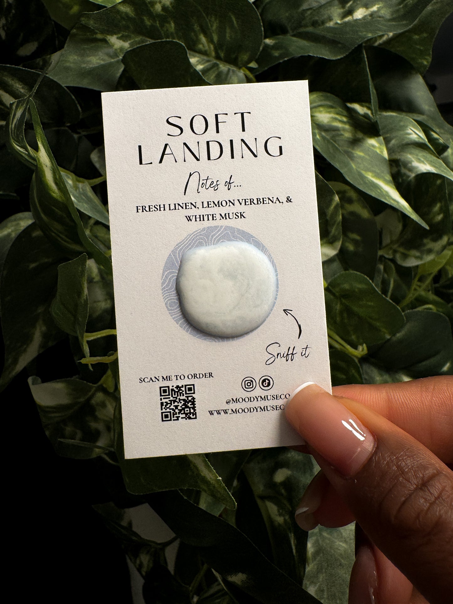 Soft Landing | FREE SAMPLE